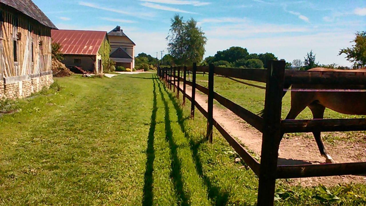 B&B Haras De La Cour Fleury Saint-Michel-de-Livet Экстерьер фото